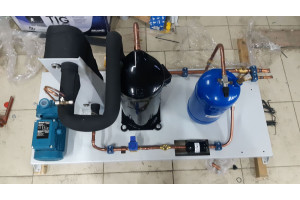 Image Caption