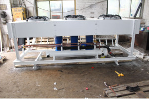 Image Caption