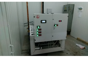 Image Caption