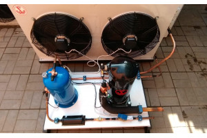 Image Caption