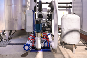 Image Caption