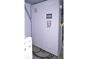 Image Caption