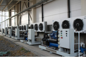Image Caption