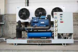 Image Caption