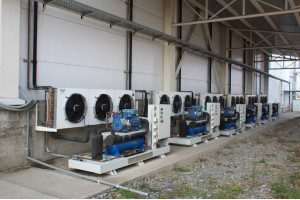 Image Caption