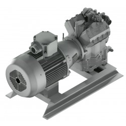 FRCS-L-2N.2Y-K